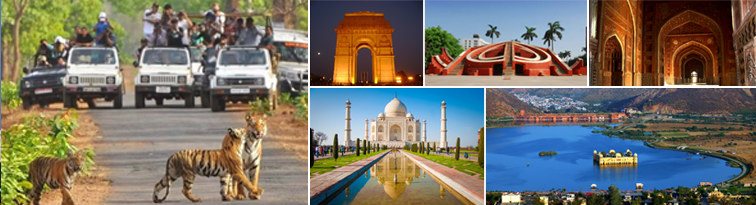 Golden Triangle Tour Packages